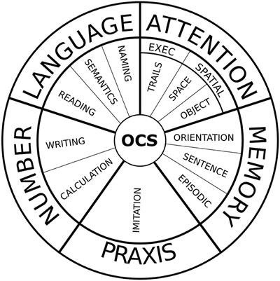 Principal Component Analysis of Oxford Cognitive Screen in Patients With Stroke